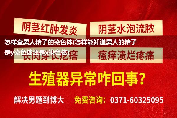 怎样查男人精子的染色体(怎样能知道男人的精子是y染色体还是x染色体)